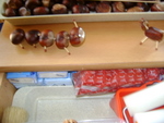 DSC02810.JPG
